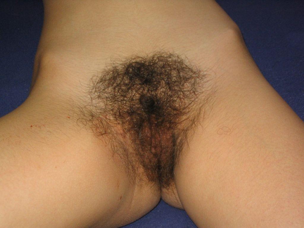 Hairy spreading close up image