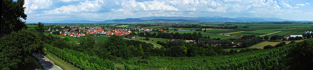 Blick von St. Erentrudis über Munzingen, im Hintergrund der Schwarzwald