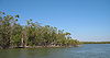 Everglades Mangroves 01.jpg