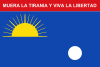 Flag of Falcón.svg