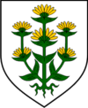 Wappen von Lanišće