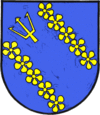 Wappen von Rohrbach-Steinberg