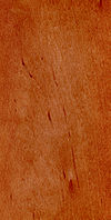 Wood Alnus glutinosa.jpg