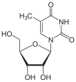 5-Methyluridin.svg