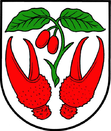 Wappen von Dřínov