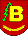 Wappen von Boguchwała