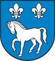 Wappen von Przykona