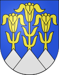 Wappen von Blumenstein