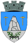 Wappen von Slănic (Prahova)