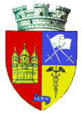 Wappen von Teiuș