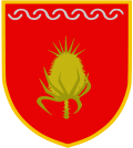 Wappen von Vevčani