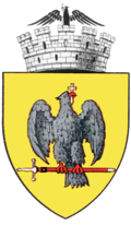 Wappen von Curtea de Argeș