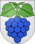 Wappen von Wynau
