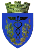 Wappen von Ţăndărei