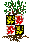 Wappen der Gemeinde Waalwijk