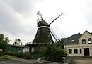 Holländer-Windmühle02.jpg