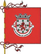 Flagge von Figueira de Castelo Rodrigo