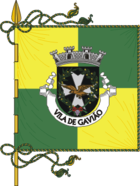 Flagge von Gavião (Portugal)