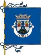 Flagge von Penela
