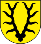 Wappen von Valzeina