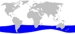Cetacea range map Layards Beaked Whale.png