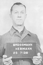Hermann Grossmann.jpg