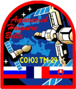 Emblem der Mission
