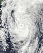 Typhoon Roke Sep 20 2011.jpg