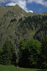 Seeköpfle (Bergspitze über dem Wasserlauf) von Süden aus dem Gebiet der Lugenalpe.