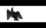 Flagge des Freistaates Preußen