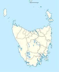 Lake Burbury (Tasmanien)