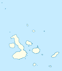 Fernandina (Narborough) (Galápagos-Inseln)