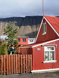 Ernir hinter Häusern des Ortes Ísafjörður