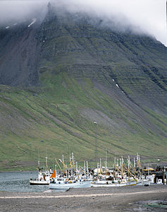 Die steilen Hänge des Ernir hinter dem Hafen von Ísafjörður