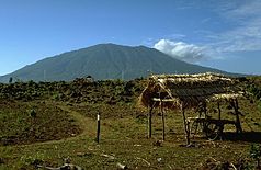 Der 1247 Meter hohe Vulkan Baluran