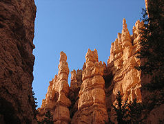 Erosionsformen im Bryce Canyon