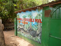 "Kachikally Crocodile Pool" und Museum