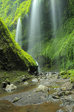 Madakaripura Wasserfall im Nationalpark