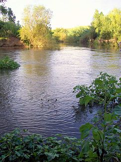 Einmündung des Allyn River ein den Paterson River bei Vacy