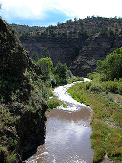 Der noch junge Gila River in New Mexico