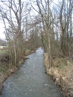 Guldenbach zwischen Windesheim und Guldental
