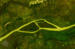 NASA-World-Wind-Satellitenbild:Der Gambia fließt hier im Bildausschnitt in westlicher Richtung. Deer Island ist die östliche, Pasari Island ist die westliche der beiden großen Inseln.