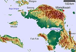 Vogelkopf-Halbinsel (West-Papua, Neuguinea)