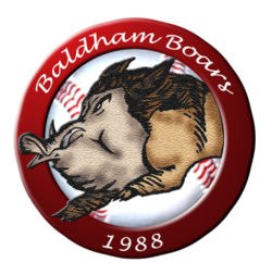 Baldham Boars Logo