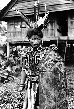 COLLECTIE TROPENMUSEUM Een Dajak uit Kutai in oorlogskleding Borneo TMnr 10005634.jpg