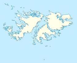 Eddystone Rock (Falklandinseln)