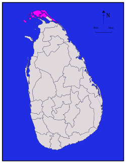 Distrikt Jaffna