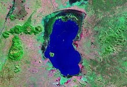 Der Chilwa-See und Chisi Island auf einem Falschfarben-Satellitenbild