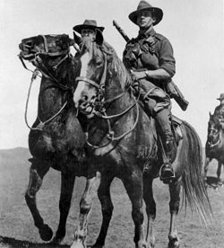 Australische Reiter auf Waler-Pferden im November 1914