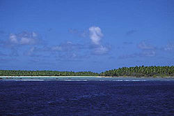 Nikumaroro von See aus gesehen